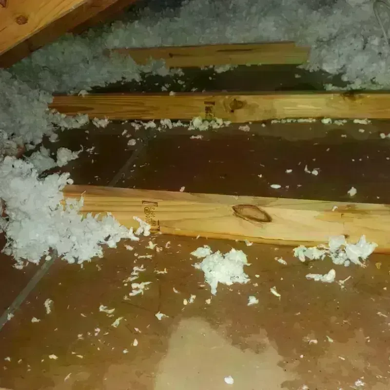 Attic Water Damage in Northfield, NH